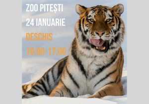 Grădina Zoologică Pitești, deschisă miercuri, 24 ianuarie 1 Sursă foto: Facebook Primăria MUnicipiului Pitesti