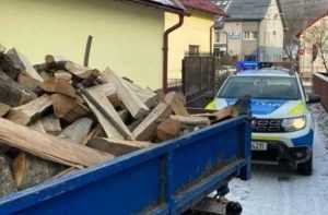 24 01 24 11 03 50big 2 - Amenzi de aproape 22 de milioane de lei date de polițiști pentru neregulile constatate în domeniul silvic, în 2023