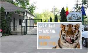 Nu uitați! ZOO Pitești este deschisă astăzi, 24 ianuarie! 1 Zoo Pitesti