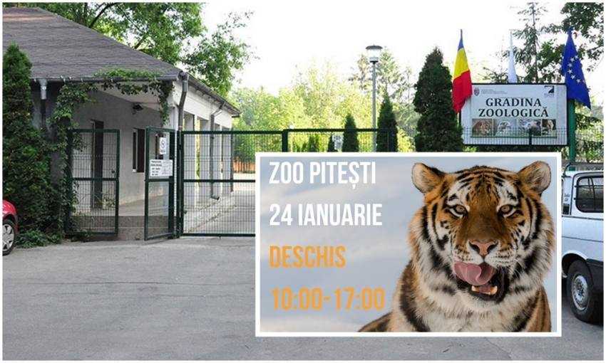 Zoo Pitesti