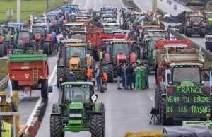 cats - Pleci în Franța? MAE a emis o atenţionare de călătorie