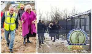 expertiza case dgaspc dosar DNA