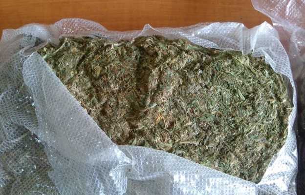 cannabis-captura-116-768×432