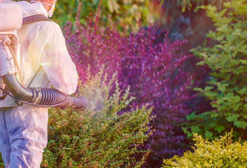 Sursă foto: Facebook Primăria MUnicipiului Pitești