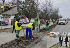 Se lucrează la zonele verzi din Mioveni 24 Sursă foto: Facebook Primăria Orașului Mioveni.