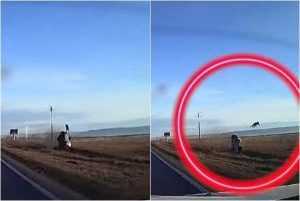(VIDEO) Un șofer de 18 ani a scăpat miraculos cu viață după ce a zburat din mașină 1 page 1 - (VIDEO) Un șofer de 18 ani a scăpat miraculos cu viață după ce a zburat din mașină