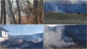 Argeș: Șapte incendii de vegetație uscată într-o singură zi! 1 page - Argeș: Șapte incendii de vegetație uscată într-o singură zi!