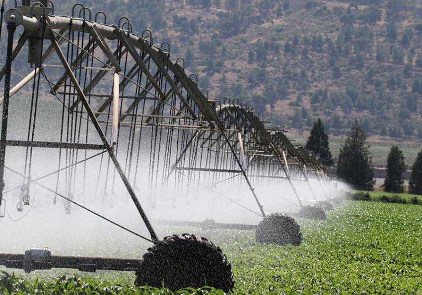 Sursă foto: Facebook MADR