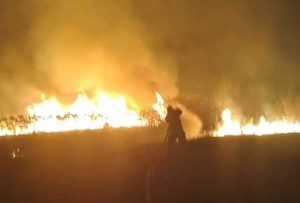 49648c7b 5bf5 409e b252 1c9fe455ca74 - (VIDEO) Incendiu de vegetație major la Mărăcineni