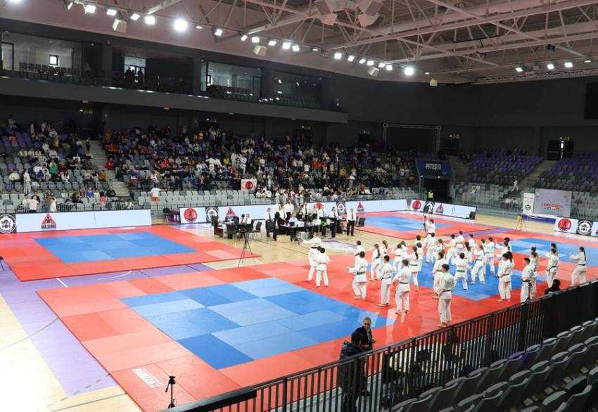 Ju-Jitsu la pitesti arena1 Sursă foto: Facebook Cristian Gentea.