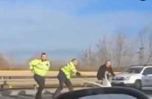 (VIDEO) O lebădă le-a dat de furcă polițiștilor piteșteni 1 d9f8f958 f057 423f a02e f71ae4f2f67c - (VIDEO) O lebădă le-a dat de furcă polițiștilor piteșteni