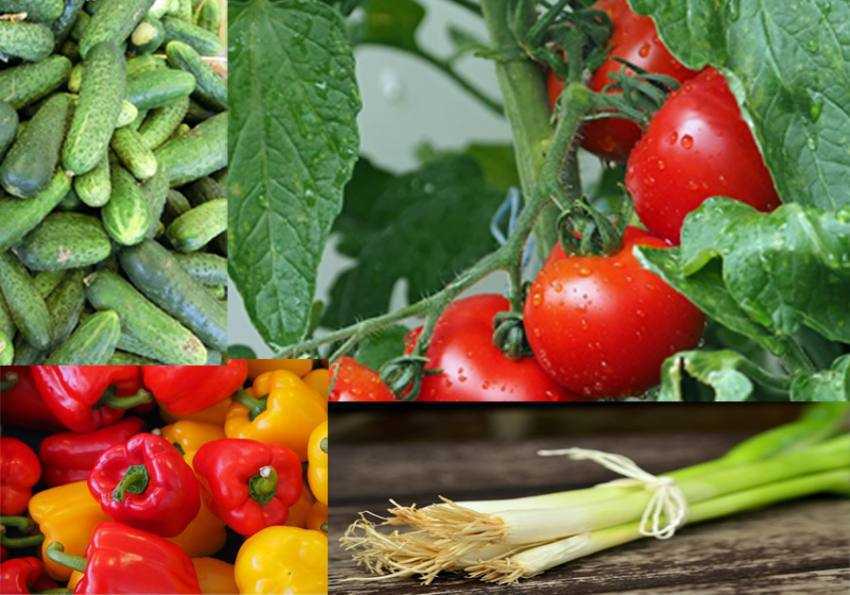 Sursă foto: Facebook MADR.