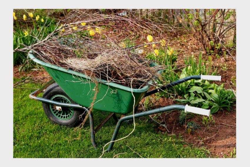 crengi deseuri Ștefănești crengi deseuri Ștefănești