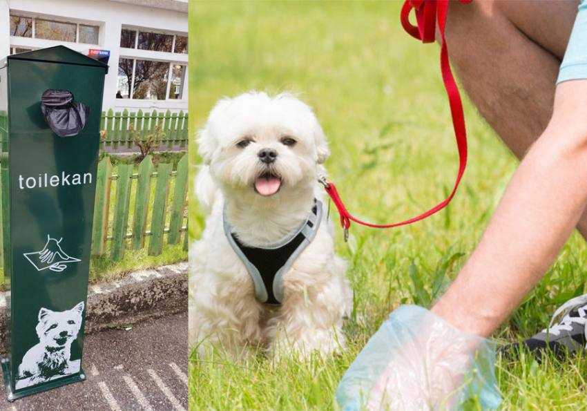 toalete pentru caini mioveni Sursă foto: Facebook Primăria Orașului Mioveni.