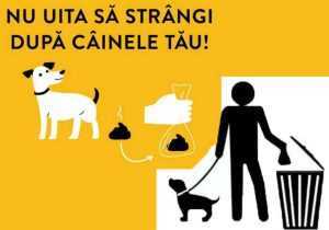 Primăria Pitești: Nu uita să strângi după câinele tău! 5 Sursă foto: Facebook Primăria Municipiului Pitești.