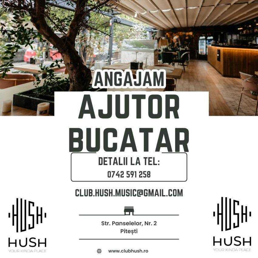 Hush Pitești își mărește echipa! 1 Hush Pitești