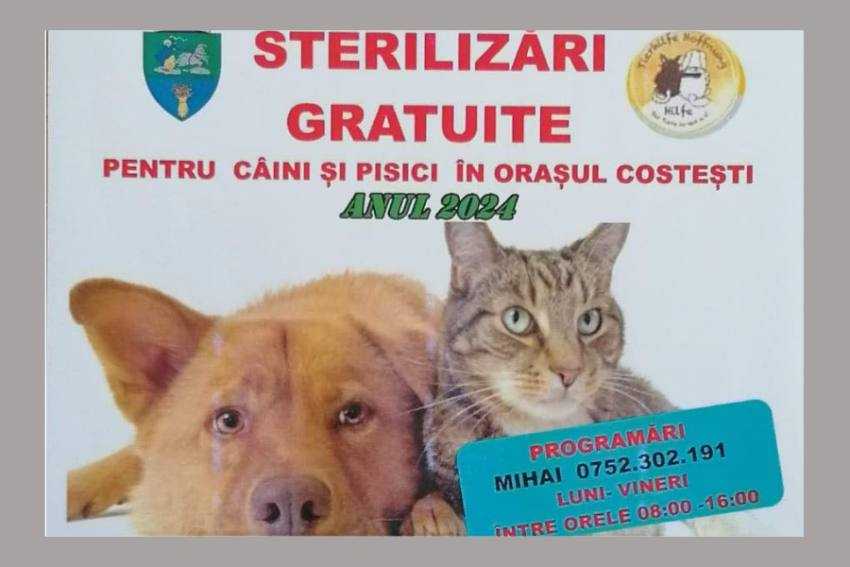 la Costești la Costești