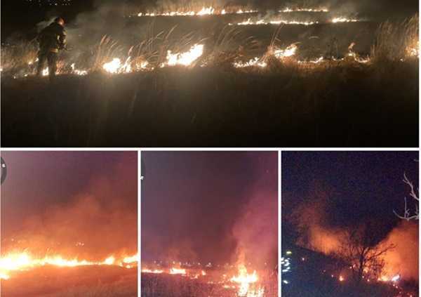 Incendii de vegetație