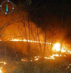 (VIDEO) Incredibil! Patru incendii de vegetație au izbucnit în Argeș: în Bradu, Rătești, Leordeni și Ștefănești. 2 incendiuu - (VIDEO) Incredibil! Patru incendii de vegetație au izbucnit în Argeș: în Bradu, Rătești, Leordeni și Ștefănești.