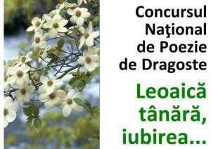 Sursă foto: Facebook Centrul Cultural Pitesti.