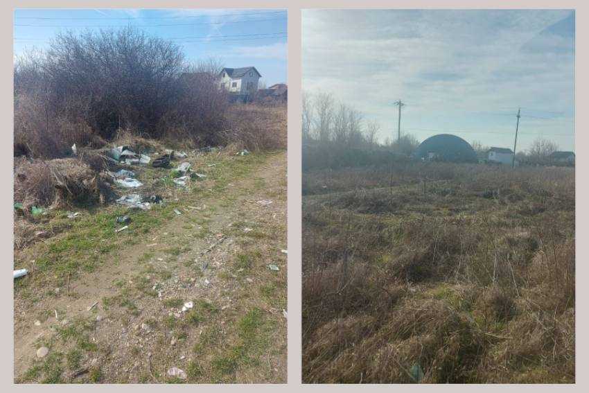 amenzi politisti locali amenzi politisti locali