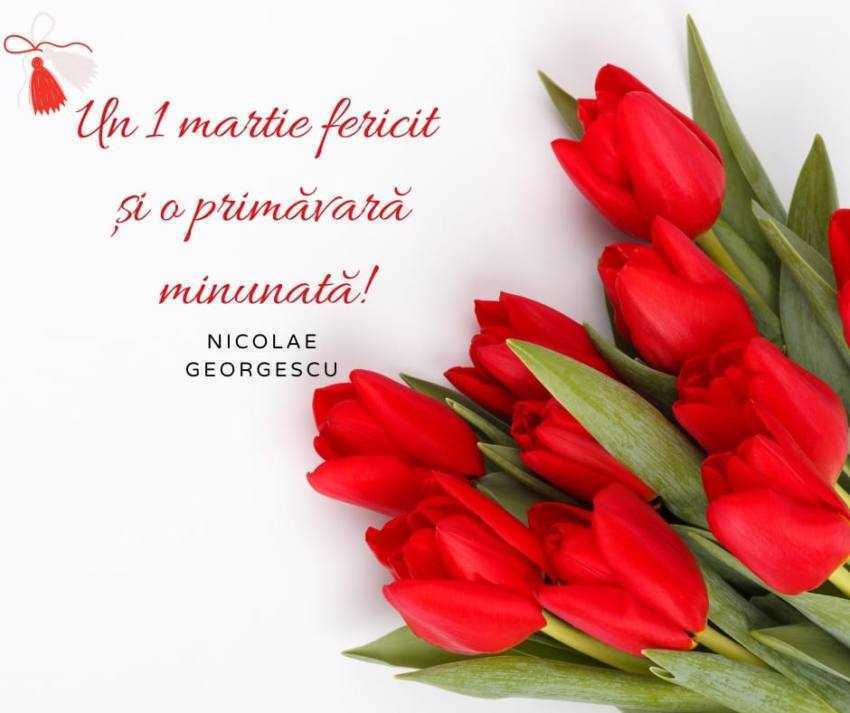 431100494 1757717918039558 966556251585534215 n - Nicolae Georgescu: „Un 1 martie fericit și o primăvară minunată!”