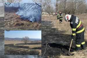 Pompierii argeșeni sunt în alertă din cauza incendiilor de vegetație 23 page - Pompierii argeșeni sunt în alertă din cauza incendiilor de vegetație
