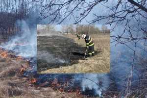 Val de incendii de vegetație în Argeș! 17 hectare de teren mistuite de flăcări într-o singură zi 1 page - Val de incendii de vegetație în Argeș! 17 hectare de teren mistuite de flăcări într-o singură zi