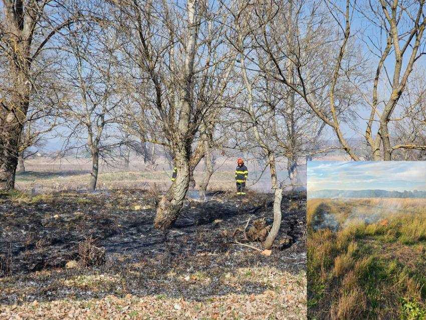 Sursă foto: Facebook Primăria Orasului Mioveni.