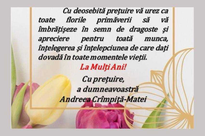 Andreea Crîmpiță-Matei Andreea Crîmpiță-Matei