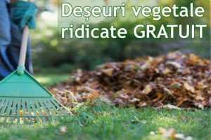 Dacă sunt respectate regulile. Ridicarea deșeurilor vegetale rezultate în urma curățeniei de primăvară este gratuită! 5 Sursă foto: Facebook Primăria MUnicipiului Pitești