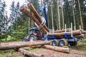 Sursă foto: Facebook Primăria Orașului Mioveni.