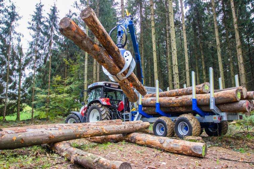 lemne padure copaci Sursă foto: Facebook Primăria Orașului Mioveni.