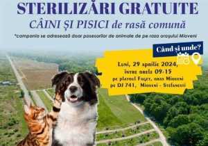 Sursă foto: Facebook Primăria Orașului Mioveni.