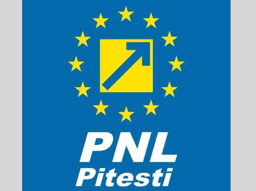PNL Pitesti SURSĂ FOTO: FACEBOOK PNL PITESTI