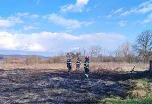 Cinci incendii de vegetație într-o singură zi 14 WhatsApp Image 2024 03 22 at 13.06.28 2 - Cinci incendii de vegetație într-o singură zi
