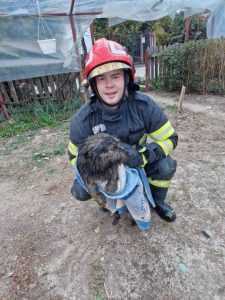90fad320 d692 4513 a3c9 755aadb71cbb - (VIDEO) Mărăcineni: Cățelușă salvată de pompierii argeșeni după ce a căzut într-o fântână