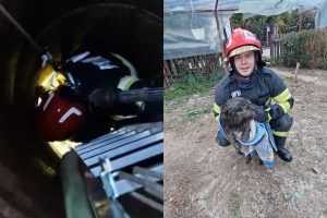 page 1 - (VIDEO) Mărăcineni: Cățelușă salvată de pompierii argeșeni după ce a căzut într-o fântână