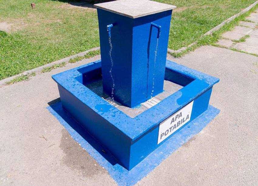 Sursă foto: Facebook Primăria Orașului Mioveni.