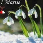 Sindicatul Autoturisme Dacia: Vă dorim o primăvară senină, cu sănătate, împliniri și bucurii alături de cei dragi! 11 1 martie