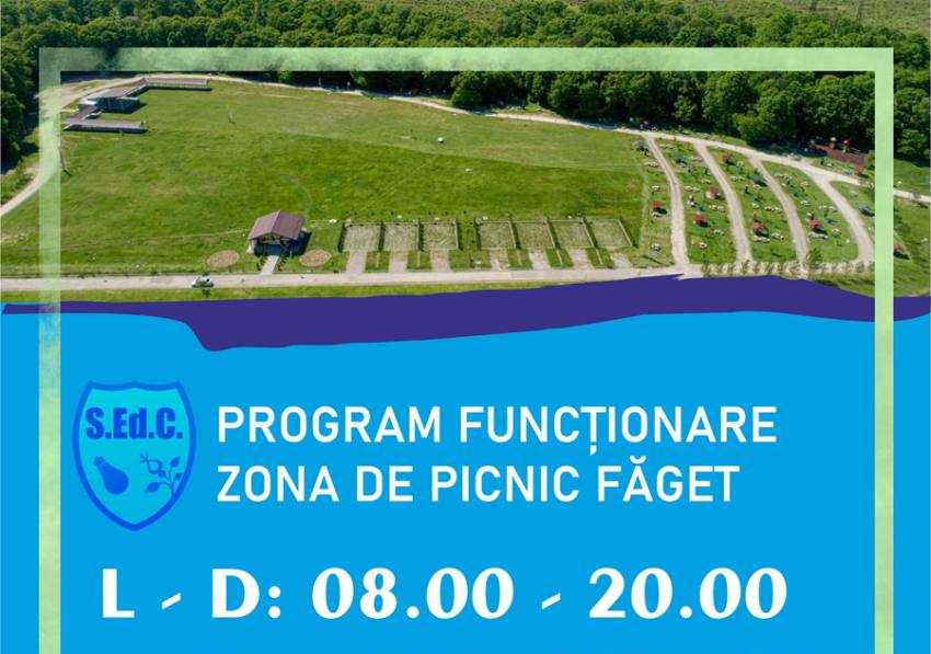 picnic Sursă foto: Facebook Primăria Orașului Mioveni.