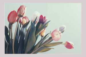 8-martie ziua femeii