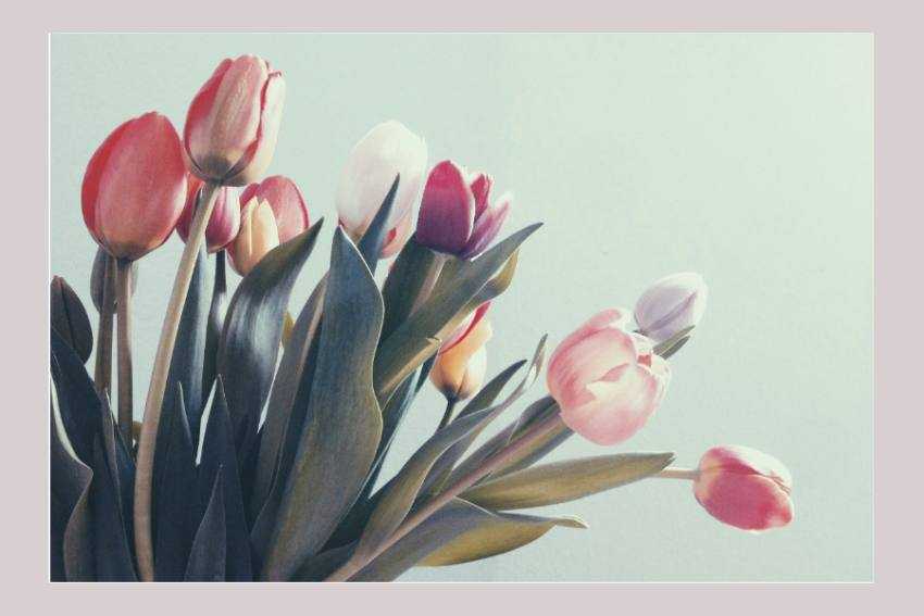 8-martie ziua femeii