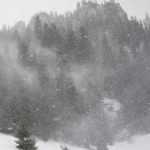 vant cod galben vant puternic - Cod galben de vânt în zona de munte a județului Argeș