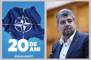 Ciolacu NATO