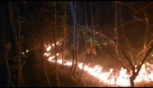 02b58b9a 79e2 4821 aede 1617c3c1304a - (VIDEO) Incendiu puternic de vegetaţie la Beleţi-Negreşti! Pompierii s-au luptat ore în șir cu flăcările