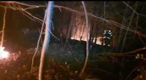 a3e991b0 4acc 49f6 a4af b070b41fc61d - (VIDEO) Incendiu puternic de vegetaţie la Beleţi-Negreşti! Pompierii s-au luptat ore în șir cu flăcările