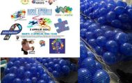 Sursă foto: Asociația Copiilor cu AUtism ARges și anchetaonline