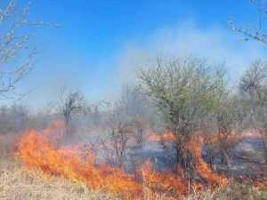 Trei hectare de teren ard necontrolat în Argeș! Intervin pompierii! 25 incendiu e1712064812806 - Trei hectare de teren ard necontrolat în Argeș! Intervin pompierii!