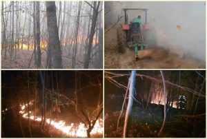 page 3 - (VIDEO) Incendiu puternic de vegetaţie la Beleţi-Negreşti! Pompierii s-au luptat ore în șir cu flăcările